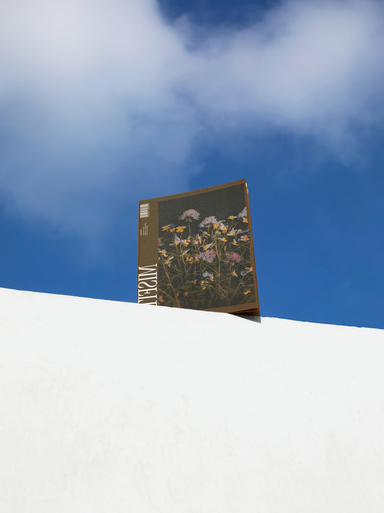 Field Studies Vol. 2